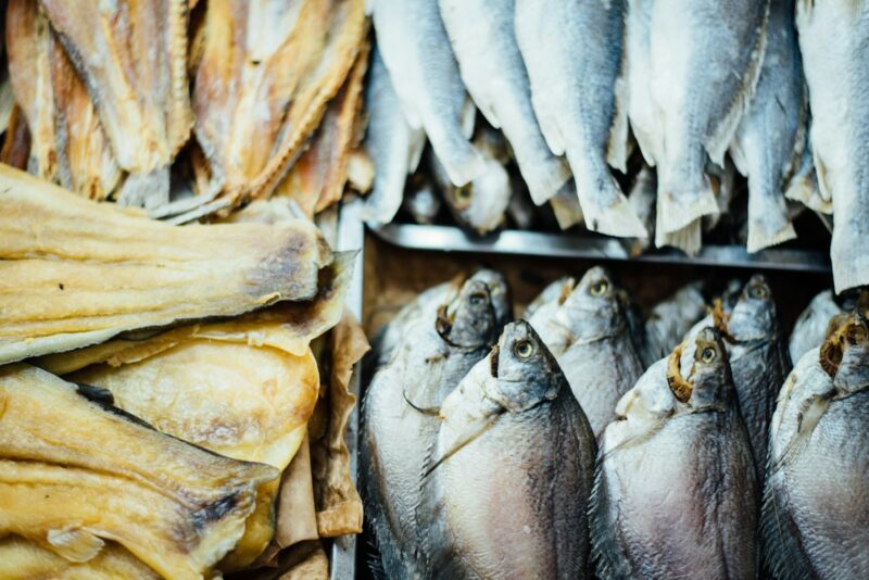 Fish